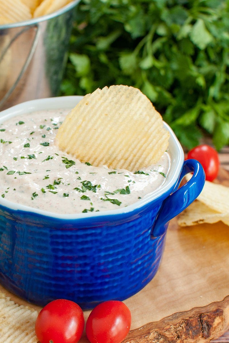 Easy Sour Cream Dip for Chips or Veggies - Dip Recipe Creations